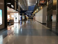 -达拉斯 沃斯堡国际机场