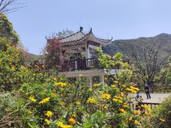 -广州市石门国家森林公园