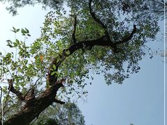 -广州雕塑公园