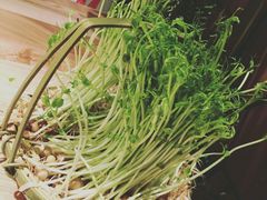 -大头椰·椰子鸡火锅(南宁万象城店)