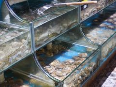 水产区-蟹谢蒸鲜自助餐厅