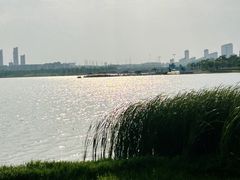 -九里湖国家湿地公园