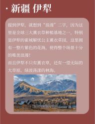 -Sunny喜铺婚礼策划(东部店)