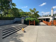 -新江湾城公园