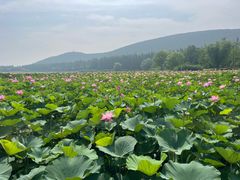 -云龙湖旅游景区