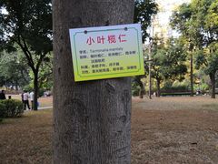-晓港公园