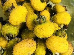 -宋记冕宁土菜馆(海门渔村二店)