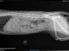 -萌兽医馆·犬猫专科·眼科中心·宠物医院(朝阳门分院)