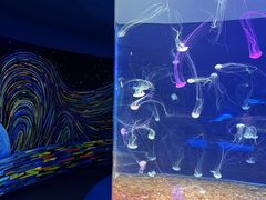 -欢乐海岸海洋奇梦馆