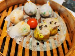 -新兴·金羊座·粤菜点心(乐峰店)