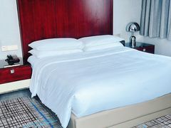 -上海龙之梦万丽酒店