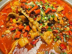 -美蛙四季(黄寺大街店)