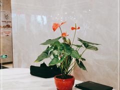 -稻香酒家·33年老字号·港式粤菜(富邦中心店)