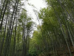 -苏州环秀晓筑养生度假村