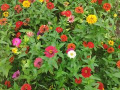 -永定河休闲森林公园