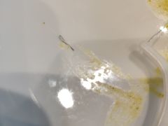 -大鸭梨烤鸭(金色漫香店)