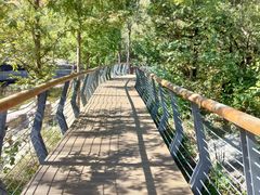 -白水寺森林公园