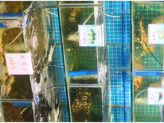 -琼大师东方烤乳猪(亚特兰蒂斯店)