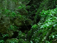 -龙窝子