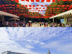 -东方绿舟景区