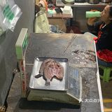 土豆真的是全国最好吃的吧 强烈的土豆淀粉感