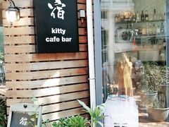 -有猫主题·治愈系猫咖(曾厝垵店)