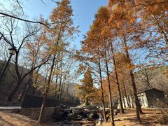 -白水寺森林公园