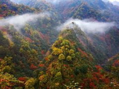 -瓦屋山景区