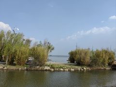 -洱海月湿地公园