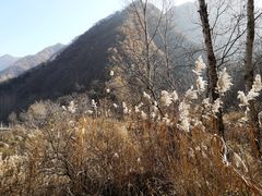 -终南山国家森林公园