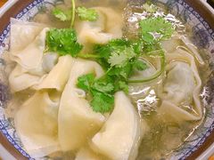 -九斤黄三黄鸡专卖店