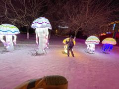 -沈阳奥体冰雪嘉年华
