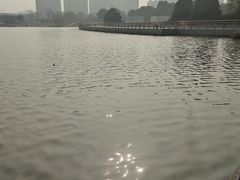 -映月湖中央公园