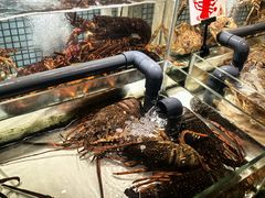 -万龙洲海鲜(南新仓店)