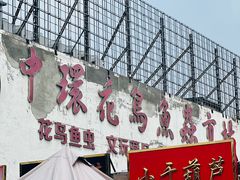 -中环花鸟鱼虫市场
