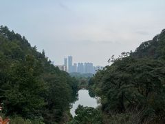 -桃花岭景区