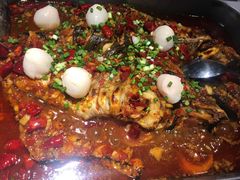 -鱼酷活鱼烤鱼(恒隆广场店)