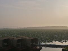 -天津东丽湖风景区