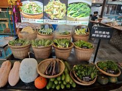 上汤浸辣椒叶-猪肉婆私房菜(容桂总店)