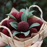 江浙沪周边游 | 又到杨梅季仙居杨梅熟了