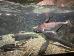 -太平洋海底世界