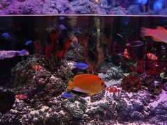 -沈阳海洋探索中心