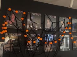 -OCEAN DANCE高空舞蹈室