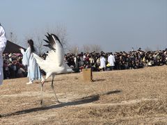 -盐城丹顶鹤湿地生态旅游区