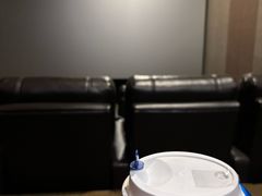 -汉阳天河电影城(王家湾店)