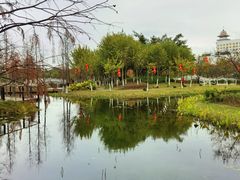 -映月湖公园