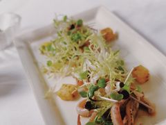 鱿鱼-蝶舍·MAISON PAPILLON