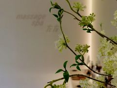-左右Massage/Spa(长寿路店)
