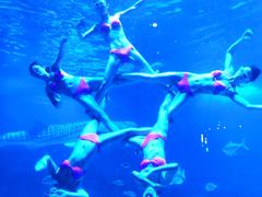 -烟台海昌鲸鲨海洋公园