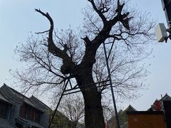 -青州古城